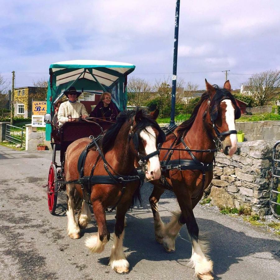 Seacrest B&B Kilronan  Экстерьер фото